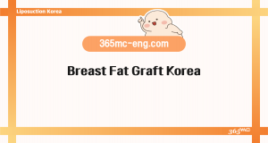 Breast Fat Graft Korea