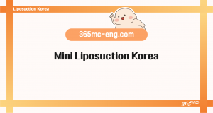 Mini Liposuction Korea