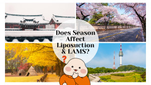 Compare how each season affects your liposuction or LAMS recovery and choose the best time for your procedure.