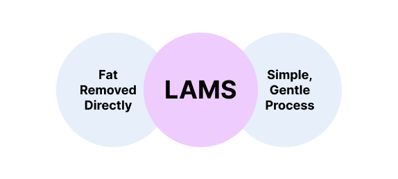 Diagram showing the LAMS procedure as a simple and gentle process with direct fat removal